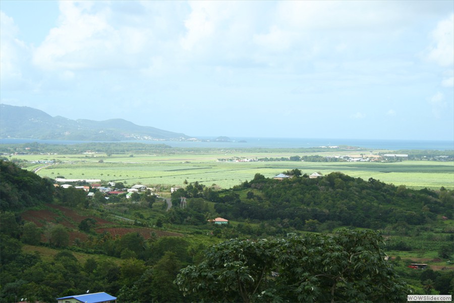 Gite L'abricotier Location saisonnière Martinique